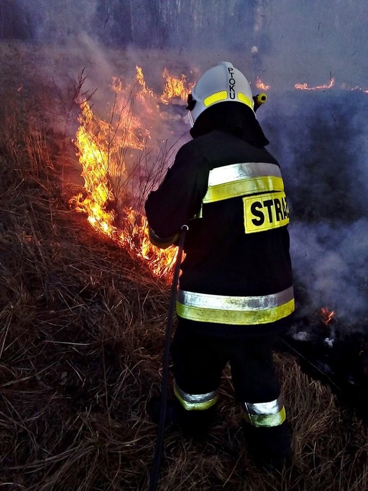 Pożary traw w Katowicach