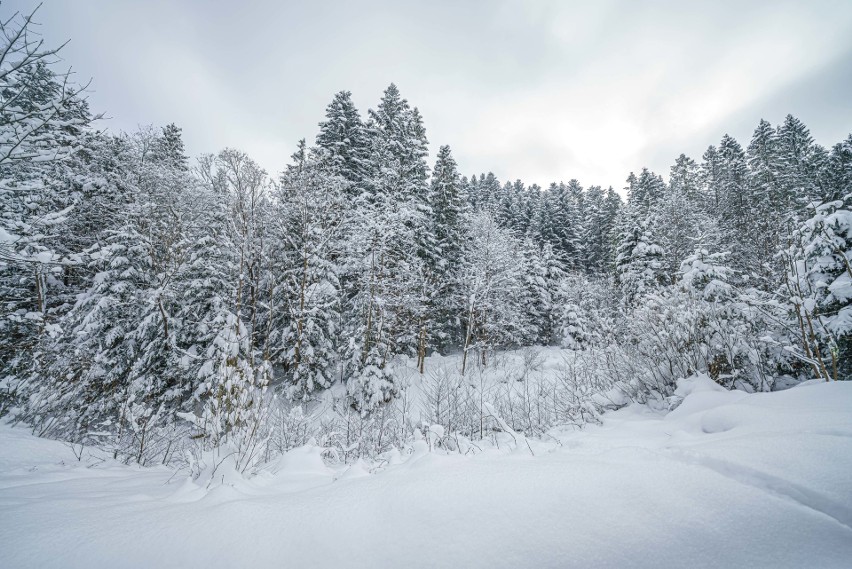 Zimowe krajobrazy z Kamiannej. Kliknij w przycisk "zobacz...