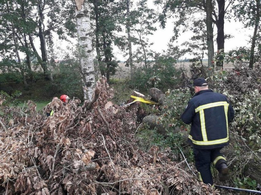 Akcja ratunkowa w Załakowie. Drzewo przygniotło mężczyznę