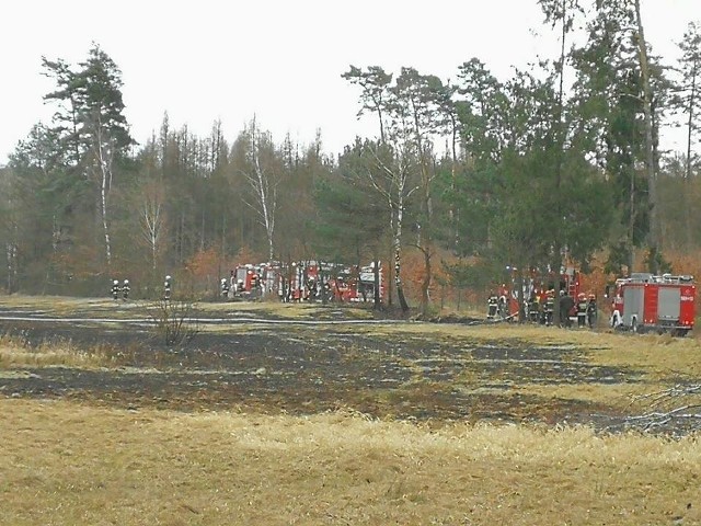 Strażacy z powiatów gliwickiego, raciborskiego i rybnickiego gasili pożar łąki w Białym Dworze