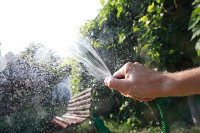 Nie wylewajmy wody bez opamiętania, podlewając ogródki, myjąc samochody czy napełniając baseny. Wysokie temperatury i brak deszczu sprawiają, że za chwilę może nam jej zabraknąć.