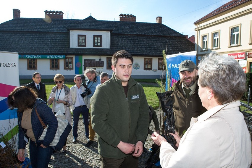 Tarnów. Drzewa dla Małopolan, Małopolska dla drzew!