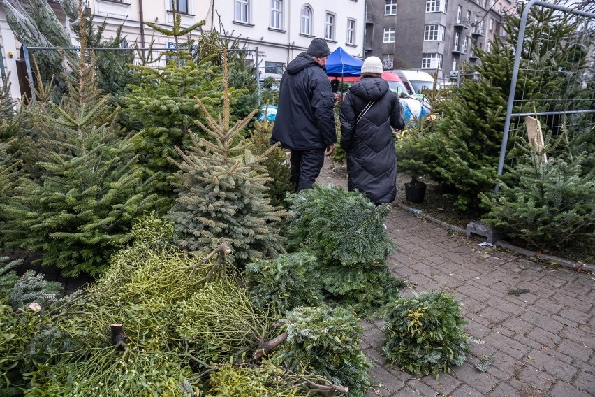 By drzewka po Bożym Narodzeniu nie lądowały na śmietnikach,...