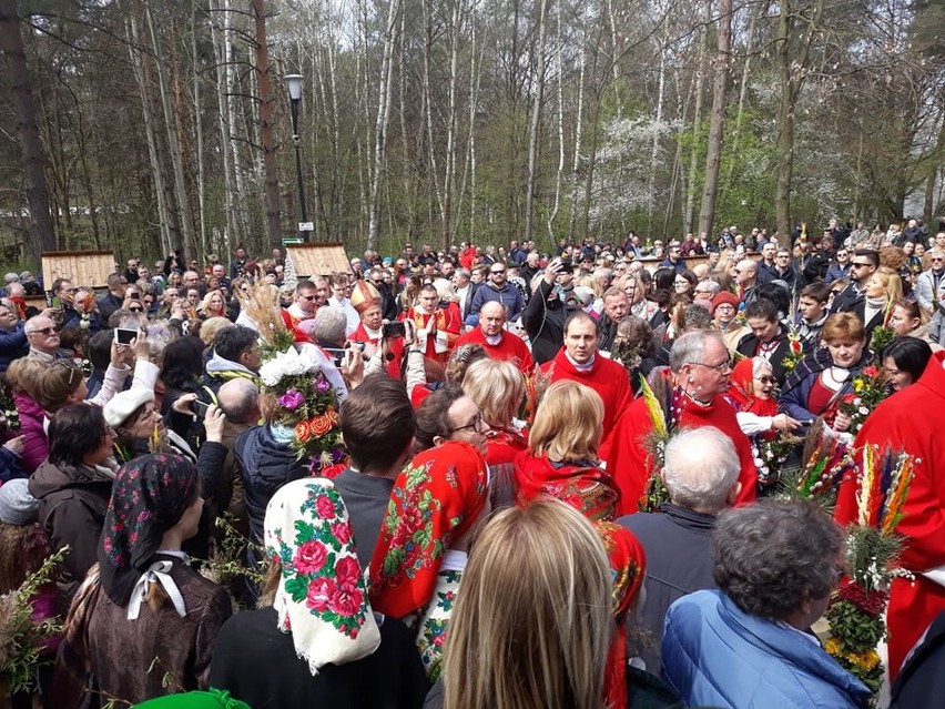 W Niedzielę Palmową wierni tłumnie uczestniczyli w mszy...