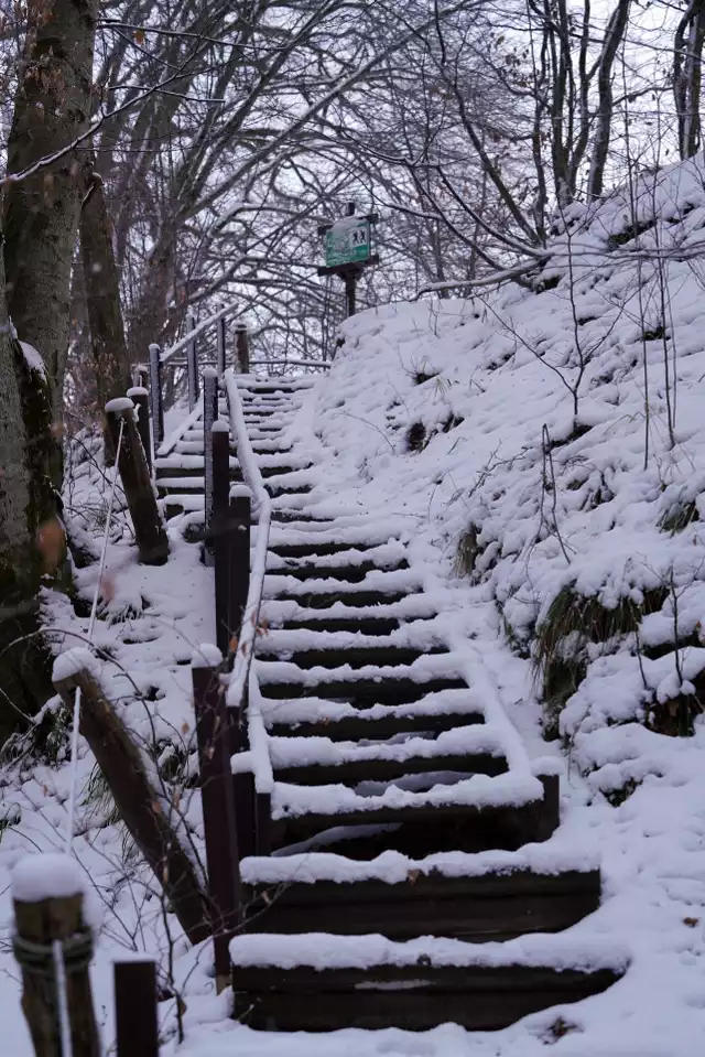 Godzina, może trochę więcej. Tyle czasu wystarczy, aby odbyć zimowy spacer w sercu Parku Krajobrazowego Dolina Słupi. Na trasie (4 km): zabytkowa elektrownia w Gałąźni Małej, zamek wodny oraz leśny rezerwat Dolina Huczka z pięknie komponującymi się drewnianymi mostkami i schodami.