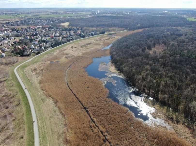 tama bobrów na rzece Piskornej, okalającej las Strachociński...