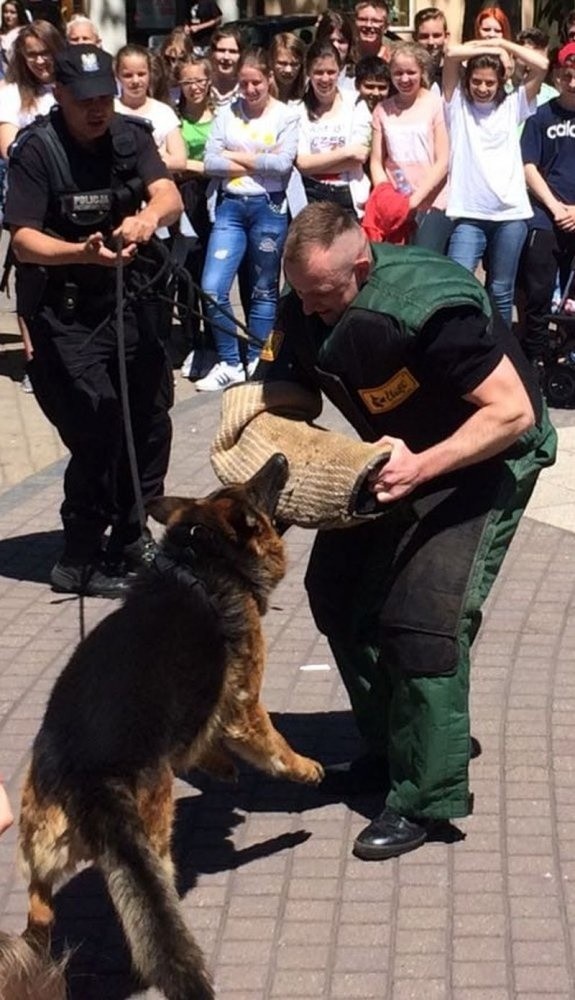 Bari, pies strzeleckich policjantów odszedł na emeryturę.