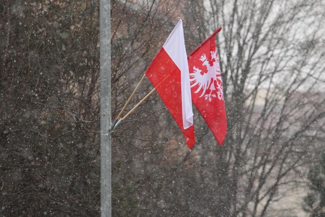 Poznańscy radni zwrócili się do mieszkańców z apelem o godne uczczenie 100. rocznicy wybuchu Powstania Wielkopolskiego, liczny udział w uroczystościach oraz wywieszenie flag państwowych i powstańczych.