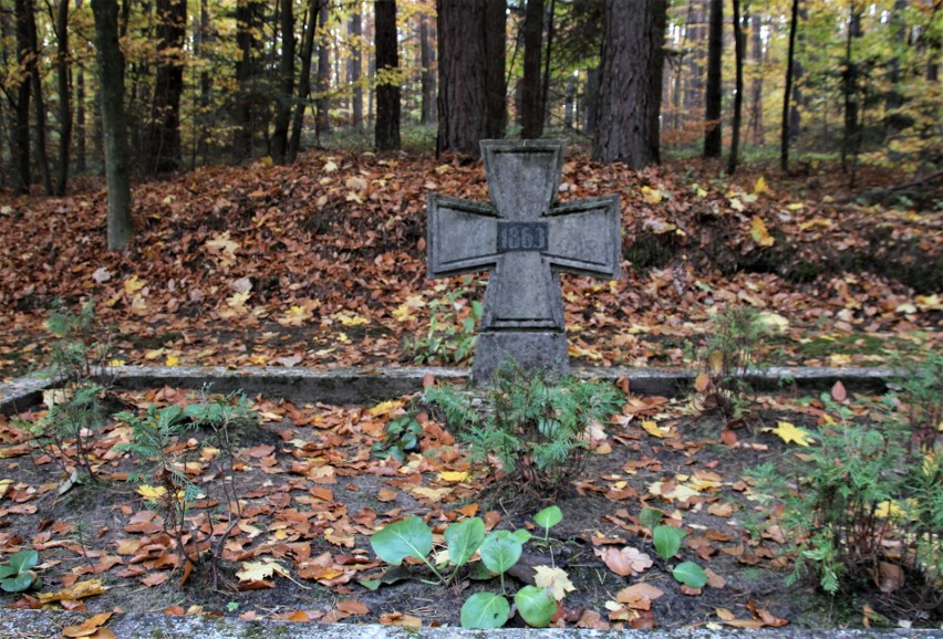 Cmentarz wojskowy w Zwierzyńcu
