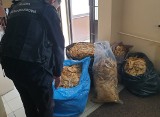 Funkcjonariusze przechwycili blisko 100 kilogramów tytoniu. Towar znaleźli na jednej z posesji w Nisku (ZDJĘCIA)