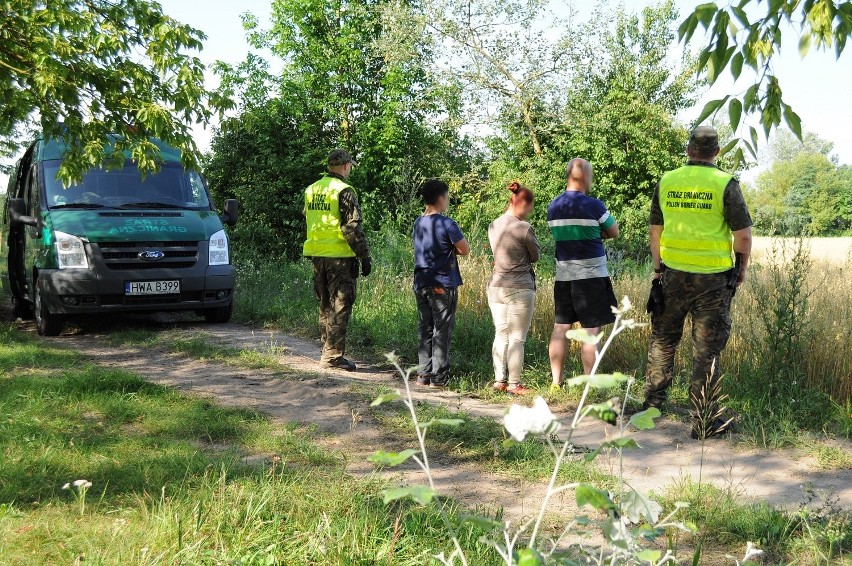 Migranci z Iranu przepłynęli Bug pod Terespolem. Znalazł ich pies tropiący