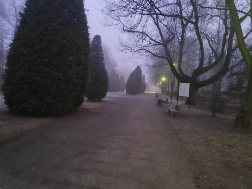 Mgła na Podlasiu. IMGW wydało ostrzeżenie pierwszego stopnia. Trudne warunki do jazdy. Ograniczona widoczność  [19.01.2020]