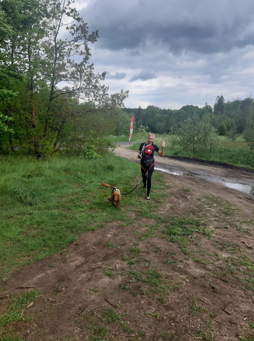 II Dogtrekking ze Stowarzyszeniem Kierunek Polanów [ZDJĘCIA]