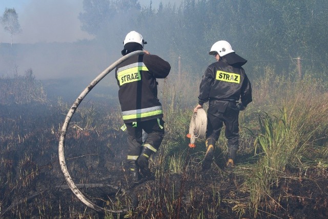 Strażacy z OSP Rudnik nad Sanem gaszą ogień.