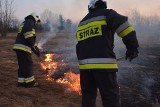 Podhale. Górale zaczęli wypalać trawy. Straż pożarna ostrzega [ZDJĘCIA]