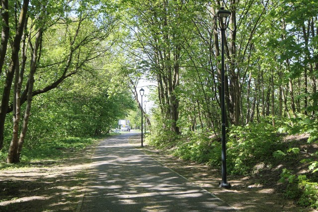 Stylowe latarnie zamontowano już przy ścieżce rowerowej przy Plantach Kolejowych i ul. Brzoskwiniowej w Chełmnie