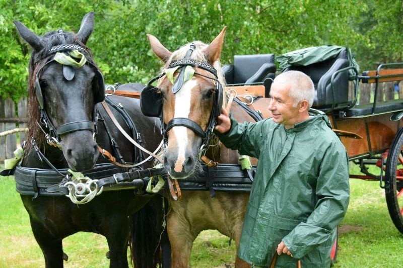 Pomigacze - Majątek Howieny: Dzień Konia 2013 (zdjęcia)