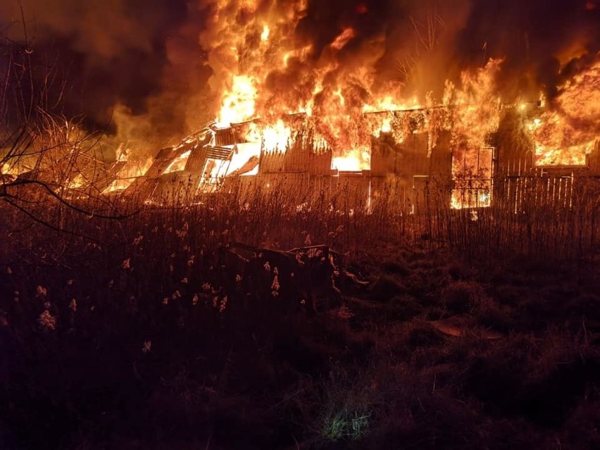 Odporyszów. Doszczętnie spłonęły zabudowania dawnej stadniny koni. Przyczyna pożaru na razie nie jest znana