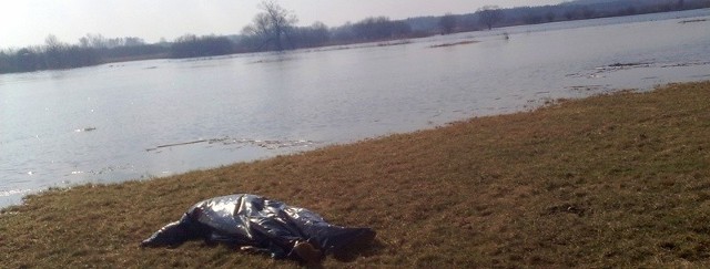 Dziś rano wędkarze odnaleźli zwłoki. To może być ciało 26-letniego geologa.