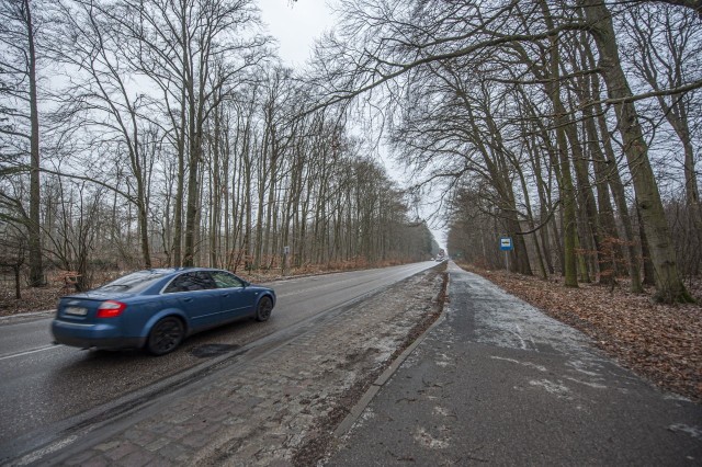 Chodzi o ul. Morską w Koszalinie, a właściwie jej odcinek, który prowadzi przez tzw. mścicki las właśnie do miejscowości Mścice