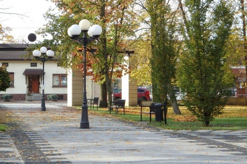 W parku w Rzgowie zamiast nowych latarni zostaną wymienione żarówki   