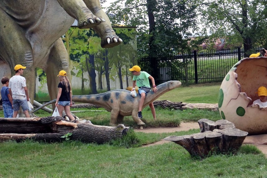 Muzeum Okręgowe w Koninie zaprasza 29 maja na piknik...