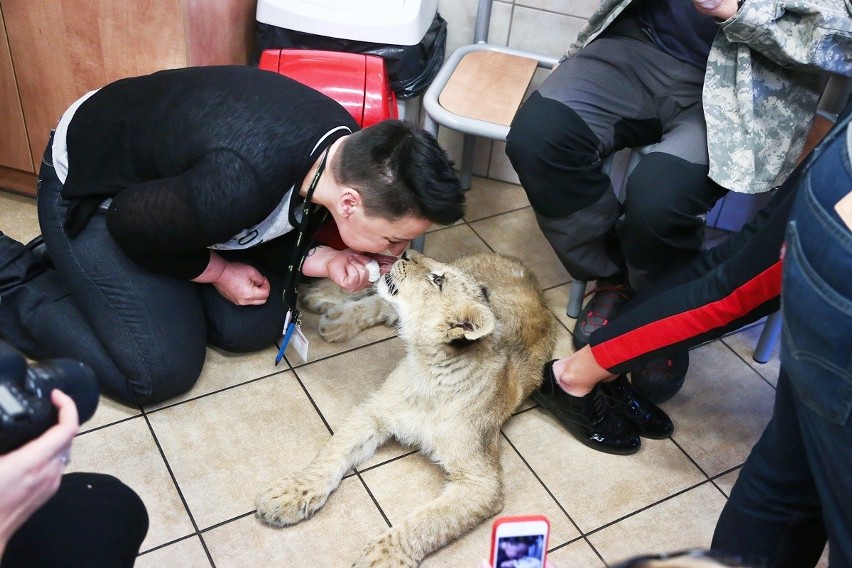 Łagodna, ale z pazurem – ta pacjentka będzie jadła 7 kg surowego mięsa