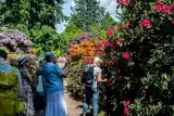 Najpiękniejsze ogrody botaniczne i japońskie we Wrocławiu i na Dolnym Śląsku. Wszystko kwitnie!