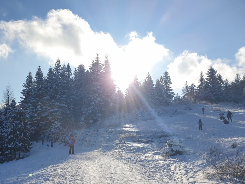 Tobołów (994 m n.p.m.). Tutaj prowadzi wyciąg z Koninek