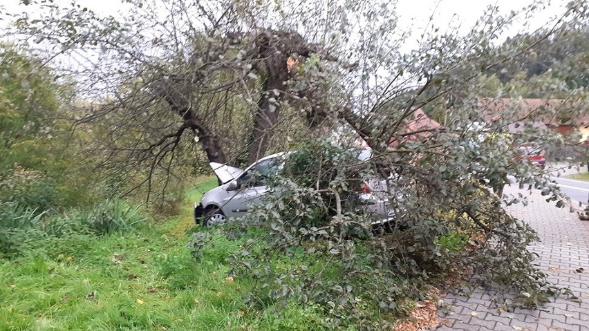 Wypadek w Mostkach. Samochód osobowy uderzył w drzewo 