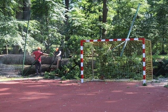 Wielkie drzewo przewróciło się tuż obok boiska, na siłownię zewnętrzną. Drzewo zniszczyło część wysokiego ogrodzenia.