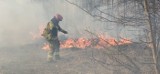 Ogromny pożar trawy w gminie Bojszowy. Zrzucano wodę z samolotów - cały czas trwają tam działania