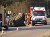 Dachowanie w Łęgu Starościńskim, gm. Lelis. 27.03.2020. Zdjęcia