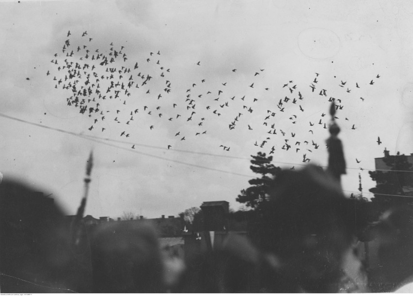 6 maja 1956 roku nad Bydgoszczą przeleciało około 4000...