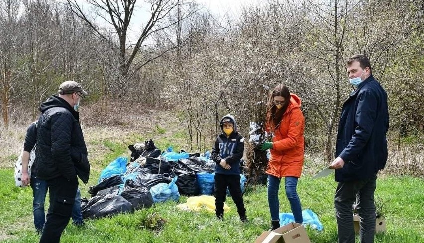 Ekologiczna akcja stowarzyszenia Polska 2050 w Skarżysku. Rozdawali sadzonki i sprzątali śmieci 