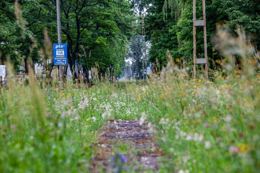 Wyłączone z ruchu torowisko