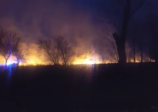 Pożar traw w Szalonkach,