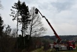 Gorlice. Strażacy z OSP w Moszczenicy po brawurowej akcji uratowali kota Franciszka [ZDJĘCIA]