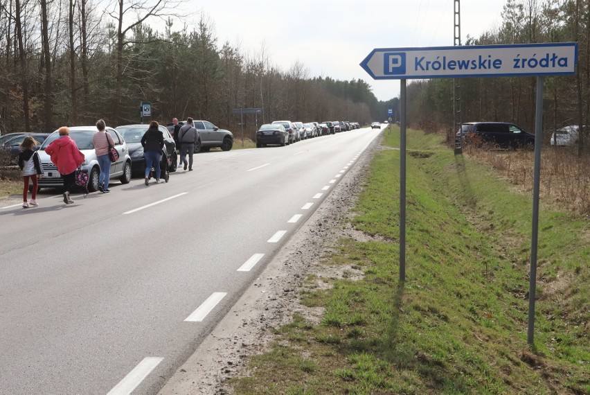 Tłumy turystów odwiedziły Królewskie Źródła w Puszczy Kozienickiej! Zobacz wideo i zdjęcia 