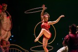 Cirque De Solei powraca do Krakowa ze swym najnowszym spektaklem. Pokazy "Corteo" od 1 do 4 września w Tauron Arenie 