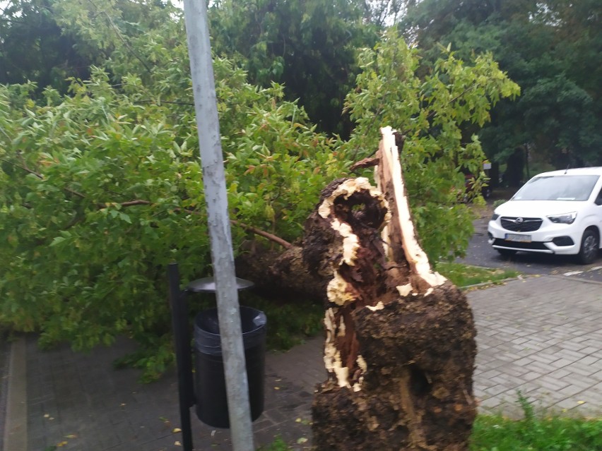 Skutki burzy w Lublinie oczami naszych Czytelników. Zobacz zdjęcia