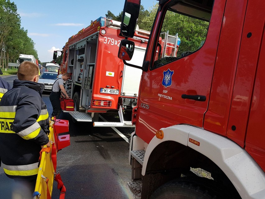 Na lubuskim odcinku drogi krajowej nr 24 koło Przytocznej...