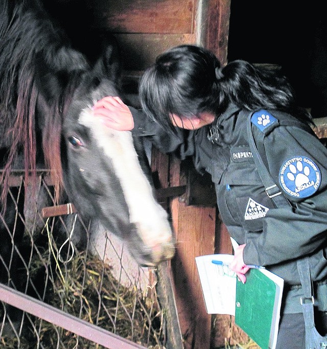 Katarzyna Kuczyńska z OTOZ Animals przy odbiorze koni