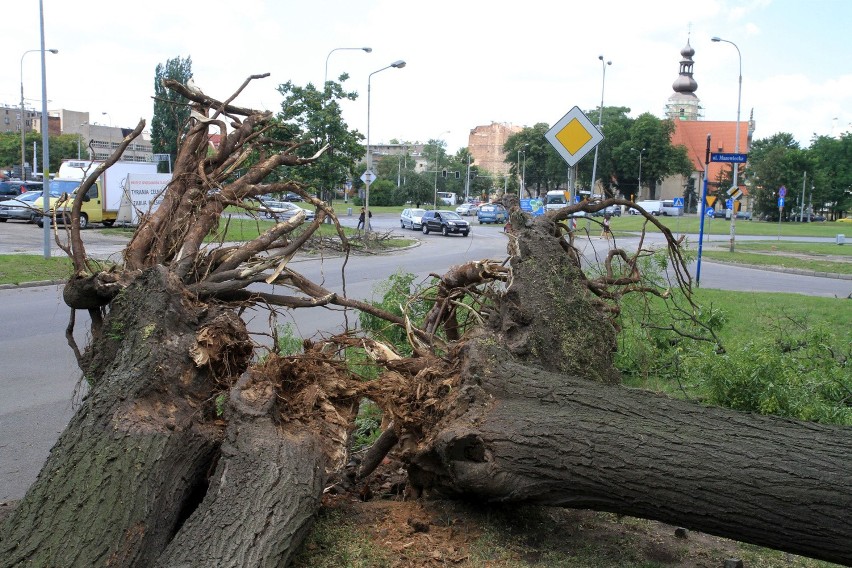 Tak wyglądał Wrocław po przejściu burzy w nocy z niedzieli...