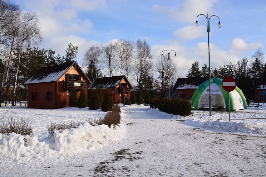 Wyścigi psich zaprzęgów na Pustyni Błędowskiej