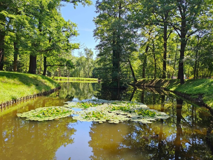 Park Szwajcaria w Gliwicach cieszy się ogromną popularnością...