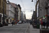 Katowice: drzewa na rynku i 3 Maja zostaną wymienione. Surmie na placu Kwiatowym pokonane przez upał i szkodniki 