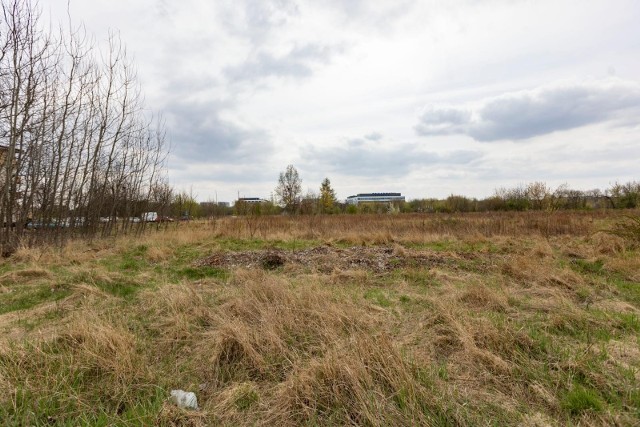 Ważą się losy rozległego terenu w rejonie budowanego Małopolskiego Centrum Nauki Cogiteon