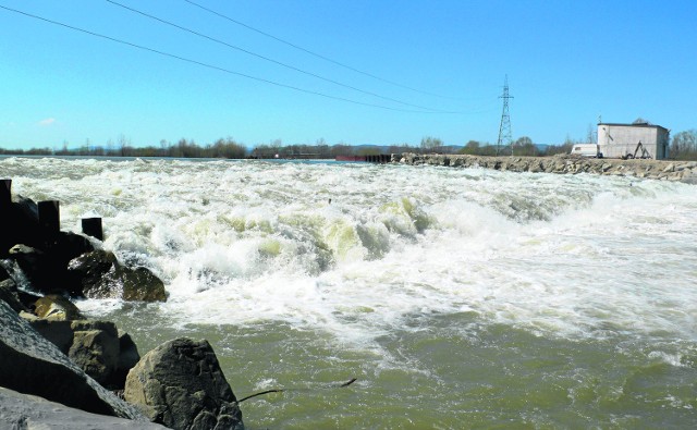 Powstały rok temu próg z elektrownią wodną na rzece Dunajec w Świniarsku budzi obawy nowosądeckich ekologów i wędkarzy.