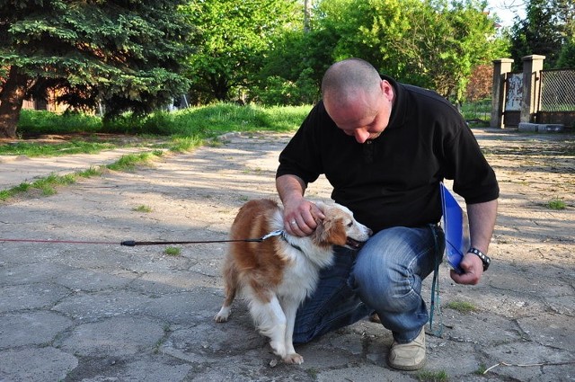 Bezpańskie psy z Sandomierza trafiają teraz do tego przytuliska przy ulicy Wiśniowej. Likwidacji tej placówki domagają się mieszkańcy okolicznych domów.